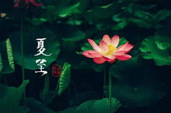 夏至|愿所有期許，如約而至