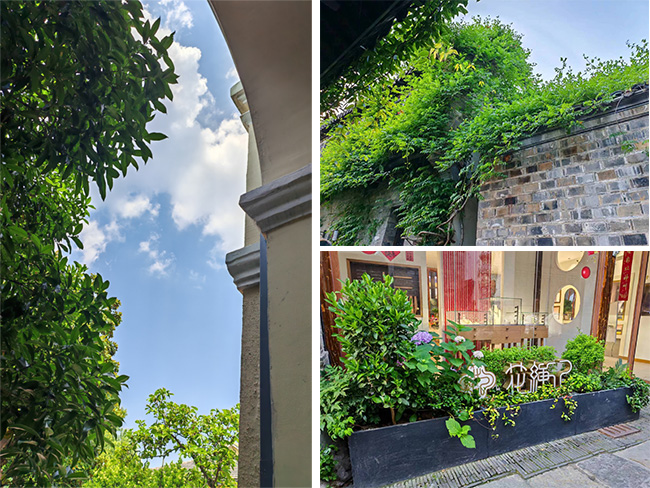 在南京，與夏天不期而遇