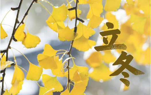 立冬?別了晚秋，遇見初冬